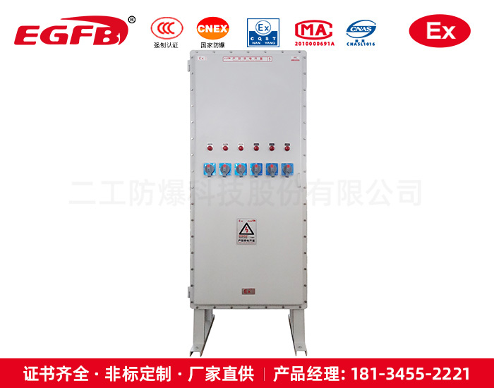前后開(kāi)門(mén)加氣站專用防爆控制柜